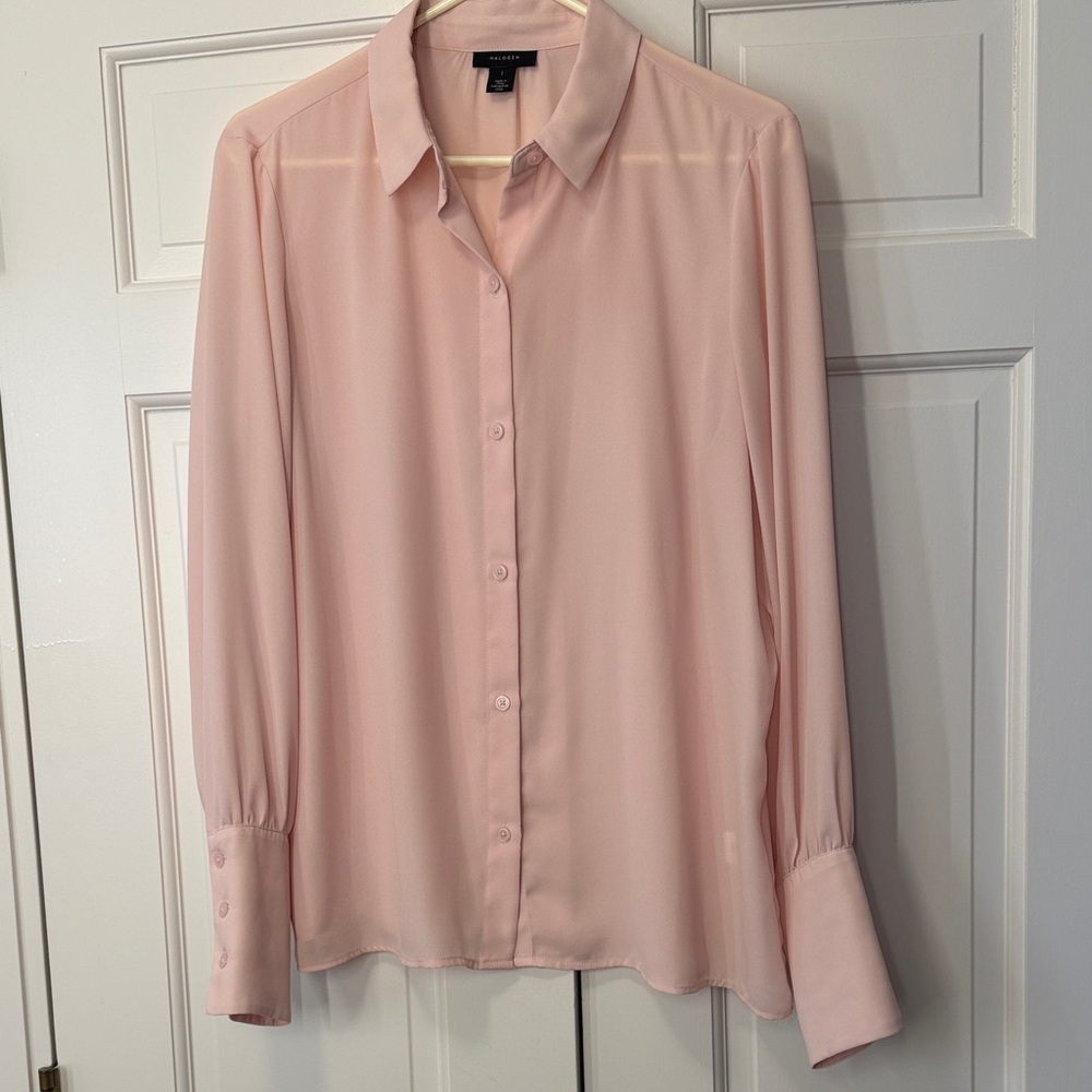Sheer Soft Pink Button-Up Blouse